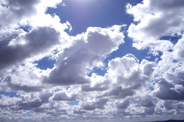 Gist Image