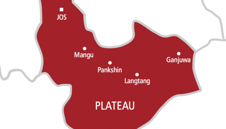 Gist Image